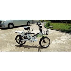 Long Range Fast Dual Battery Electric Bicycle