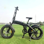 48V 500W 20 inch Folding Electric Mountain Bike with Rear Drive Motor and Fat Tires
