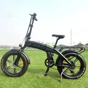 48V 500W 20 inch Folding Electric Mountain Bike with Rear Drive Motor and Fat Tires