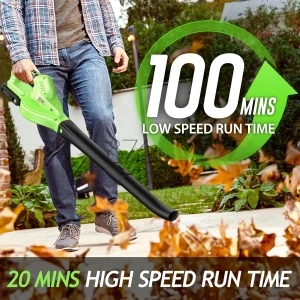 Cordless Leaf Blower - 20V with 2 Batteries & Charger