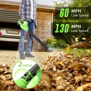 Cordless Leaf Blower - 20V with 2 Batteries & Charger
