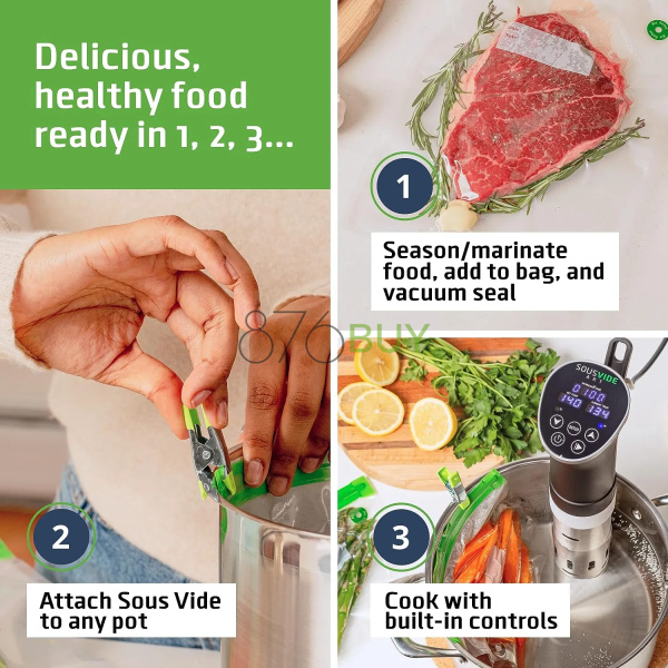 SOUSVIDE ART Cooker Kit (1000 Watts Sous Vide Cooker) - Image 3