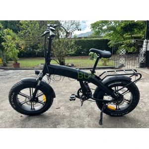 48V 500W 20 inch Folding Electric Mountain Bike with Rear Drive Motor and Fat Tires