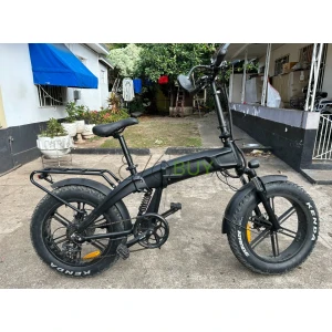 48V 500W 20 inch Folding Electric Mountain Bike with Rear Drive Motor and Fat Tires