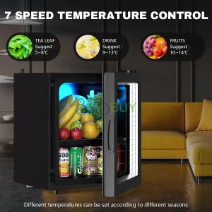 Small Mini Fridge Freestanding Refrigerator with Adjustable Shelving Glass Door