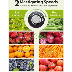 Aeitto Cold Press Juicer, Quiet Masticating Juicer with Triple Modes - Black