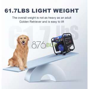 DD DINKING 4000W Inverter Generator