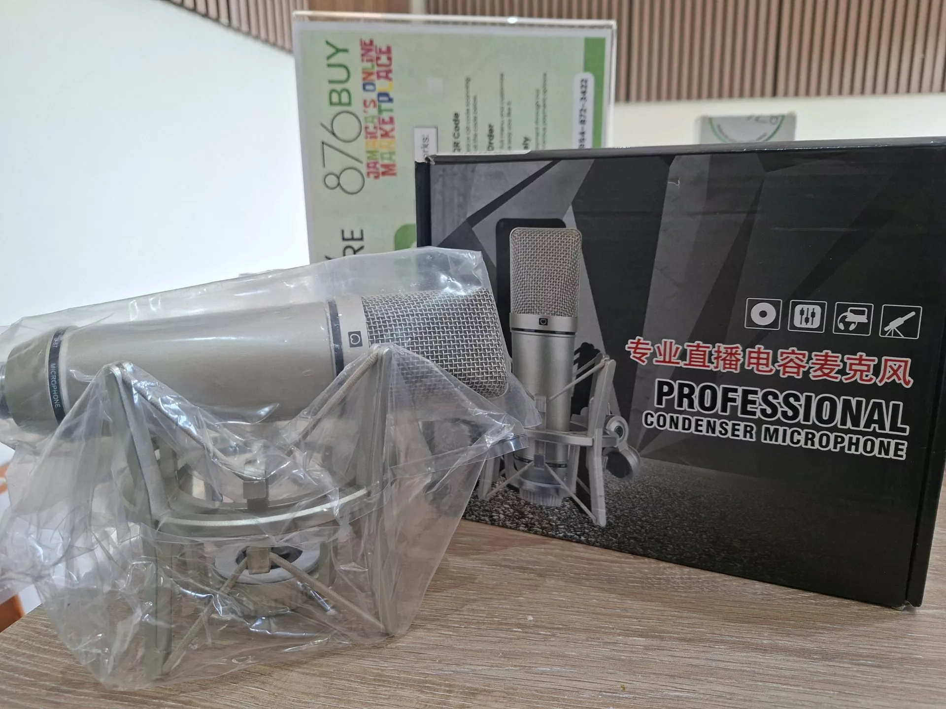 Professional Condenser Microphone - Image 2